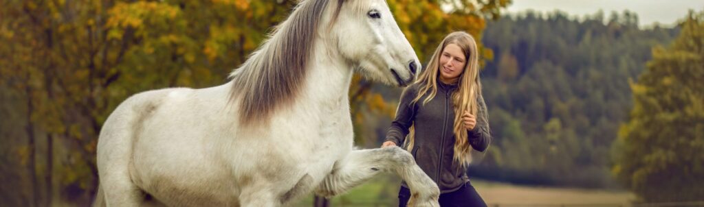 Frau macht Traning mit Isländer Pferd