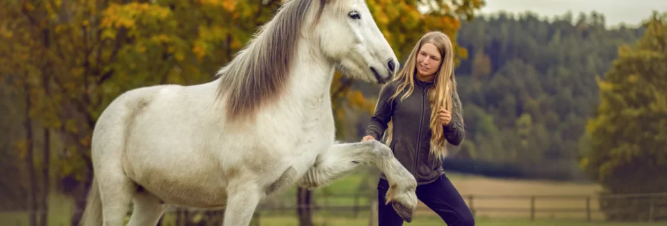 Frau trainiert Tölt mit Islandpferd
