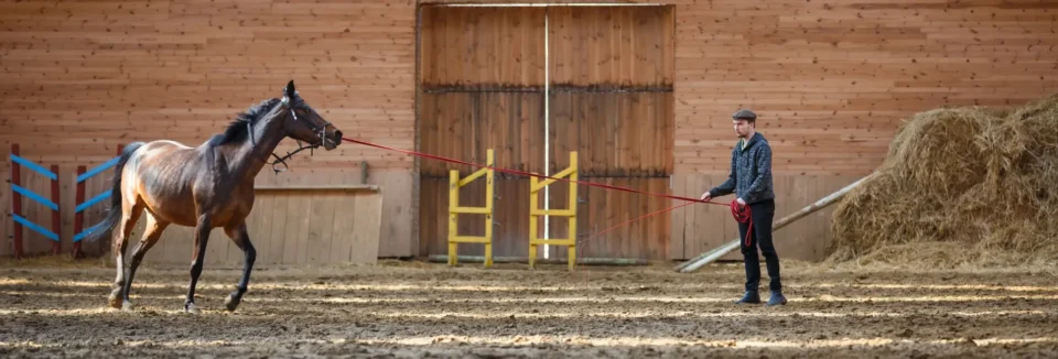 Pferd macht Konditionstraining in einer Halle