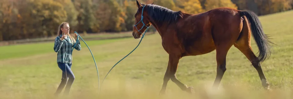 Frau macht Pferdetraining auf einer Wiese